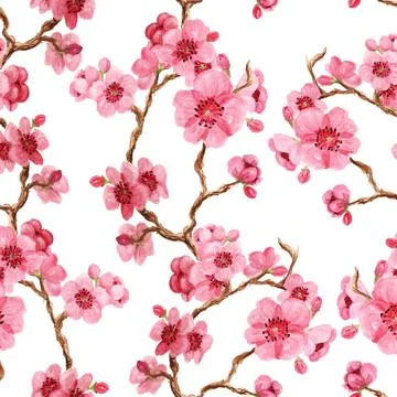 Seamles pattern with sakura Stock Illustration