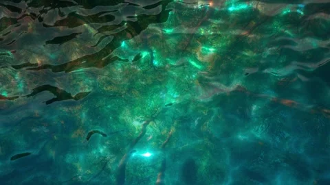 Seamless 10s loop of abstract water ripples with fractal patterns Stock Footage 348163283