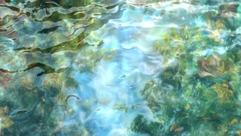 Seamless 10s loop of abstract water ripples with fractal patterns Stock Footage 348163356