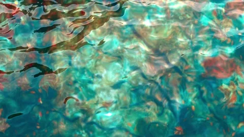 Seamless 10s loop of abstract water ripples with fractal patterns Stock Footage 348163558