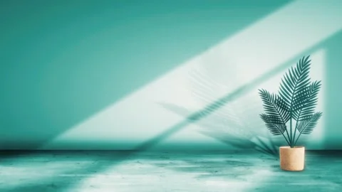 Seamless 10s loop of potted palm with teal shadows on wall Stock Footage 346017813