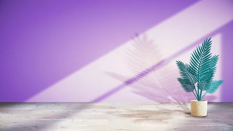 Seamless 10s loop of potted palm with purple shadows on wall Stock Footage 346098305
