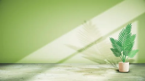 Seamless 10s loop of potted palm with green shadows on wall Stock Footage 346098327