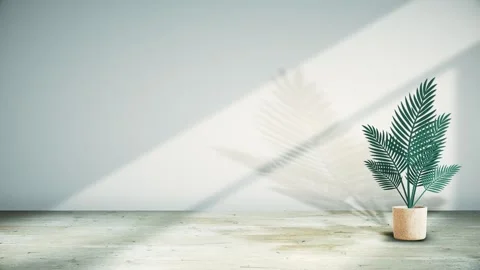 Seamless 10s loop of potted palm with grey shadows on wall Stock Footage 346098370