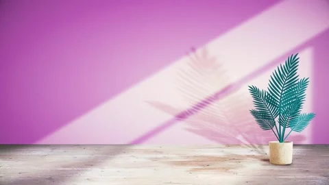 Seamless 10s loop of potted palm with coral shadows on wall Stock Footage 346098496
