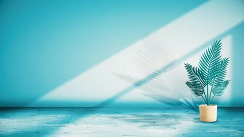 Seamless 10s loop of potted palm with blue shadows on wall Stock Footage 346098689