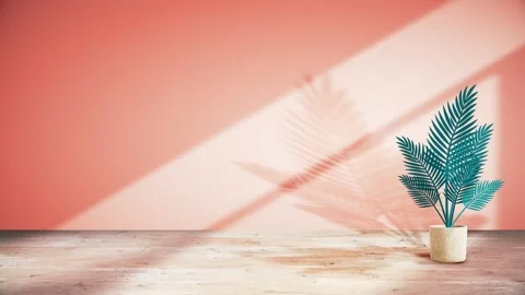 Seamless 10s loop of potted palm with coral shadows on wall Stock Footage 346098695