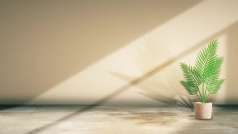 Seamless 10s loop of potted palm with moving shadows on wall Stock Footage 346098749