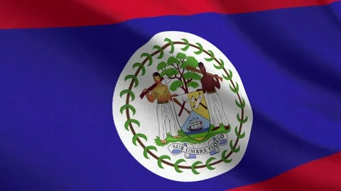 Seamless 3D video of the Belize flag fluttering in the wind looping Stock Footage 337648541