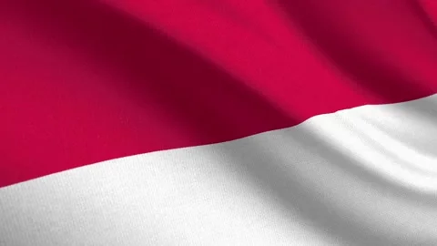 Seamless 3D video of the Monaco flag fluttering in the wind looping Stockbeeldmateriaal 336265273