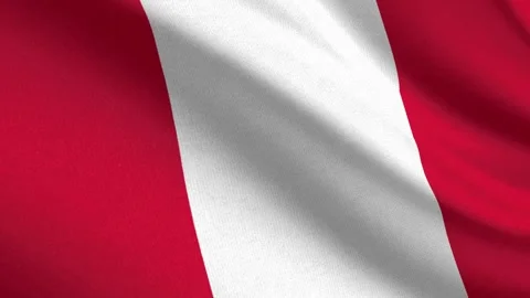 Seamless 3D video of the Peru flag fluttering in the wind looping Video stock 336815071