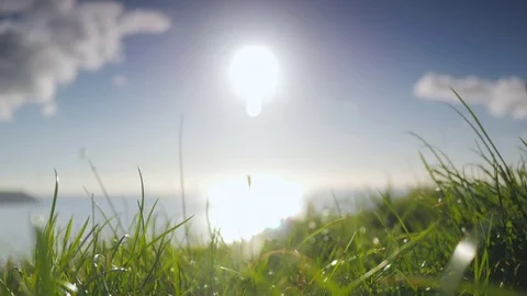 Seamless 4K cinemagraph loop, sun over the ocean, grass blowing in the breeze Stock Footage
