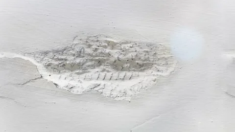 Seamless 4K looping vertical movement across a smooth white plaster wall with 스톡 동영상 344119351