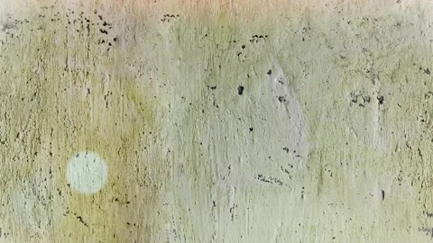 Seamless 4K looping vertical movement over a weathered pale yellow wall with Stockbeeldmateriaal 344119743