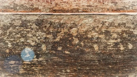 Seamless 4K looping vertical movement across aged wooden planks with rich grain Vidéo 344123269