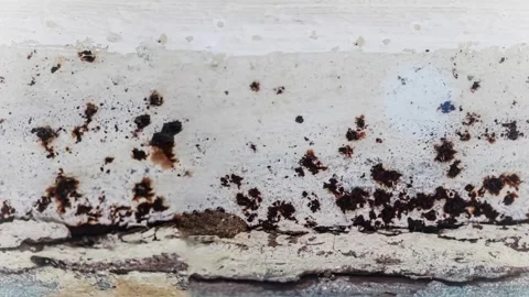 Seamless 4K looping vertical movement across a rusty weathered metal surface Видео 344123415