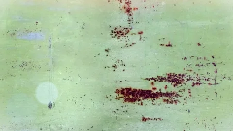 Seamless 4K looping vertical movement over a faded green painted wall with Stock-Footage 344123733