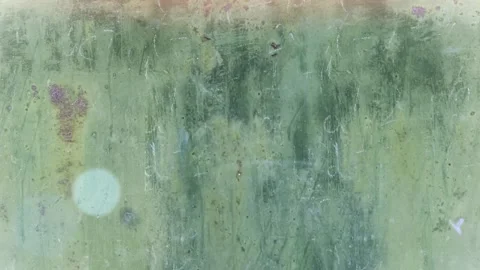 Seamless 4K looping vertical movement over an aged green painted wall with soft Vídeo Stock 344123828