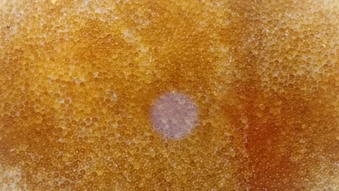 Seamless 4K looping vertical movement across golden pike caviar with rich Stock Footage 344124092
