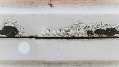 Seamless 4K looping vertical movement over a weathered painted metal surface Vídeos de archivo 344124124