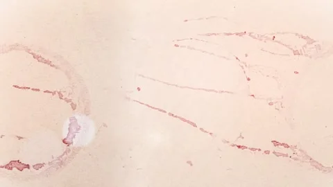 Seamless 4K looping vertical movement over a light painted surface with faded Видео 344124385