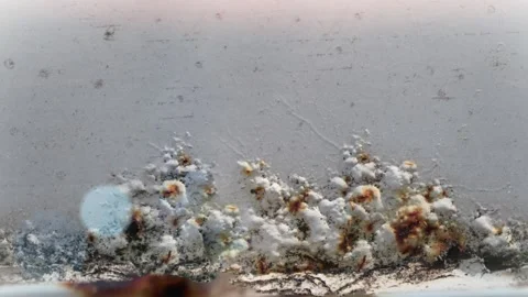 Seamless 4K looping vertical movement across a weathered metal surface with rust Видео 344124407