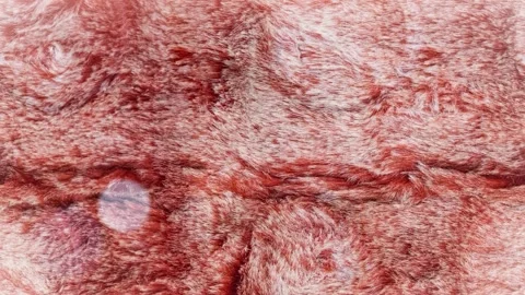 Seamless 4K looping vertical movement across a rough red stone texture with 動画素材 344124648