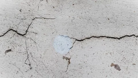 Seamless 4K looping vertical movement across a light concrete wall with a long 動画素材 344126370
