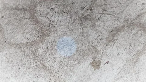 Seamless 4K looping vertical movement over a light plaster wall with subtle Vidéo 344126572