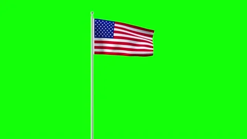 Seamless 4k resolution animation of United States symbol. Chroma key. Video stock 168149175