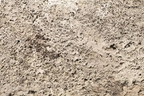 Seamless abstract backgroun. The cellular texture of the concrete. Stock Photos