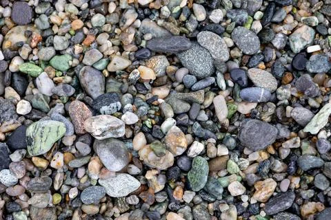 Seamless abstract background top view. Close-up texture of colorful sea pebbles Stock Photos