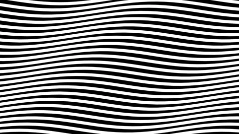 Seamless abstract black and white wavy lines background pattern video clip Stock Footage 343633398