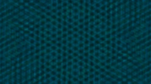 Seamless abstract emerald forest leaf texture background for video loop Stock Footage 337571901