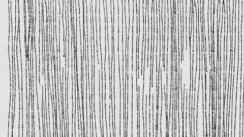 Seamless Abstract Scribble Transitions Motion Graphics Pack Stock Footage 248810156