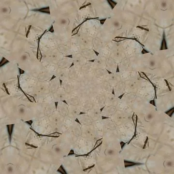 Seamless abstract square pattern. Symmetrical round pattern. Author's pattern 스톡 사진