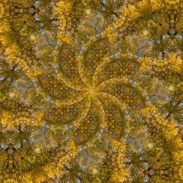 Seamless abstract square pattern. Symmetrical round pattern. Author's pattern Stockfoto's
