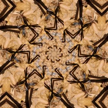 Seamless abstract square pattern. Symmetrical round pattern. Author's pattern 스톡 사진