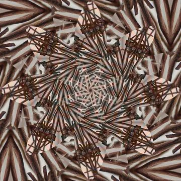 Seamless abstract square pattern. Symmetrical round pattern. Author's pattern 스톡 사진