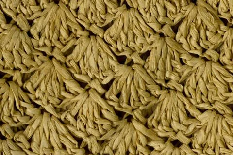 Seamless abstract straw background Stock Photos