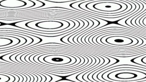 Seamless Abstract Wavy Lines Optical Illusion Pattern Background Black White Stock Footage 342207100
