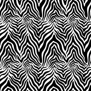 Seamless abstract zebra skin pattern background. Decorative design freehand Stock Illustration
