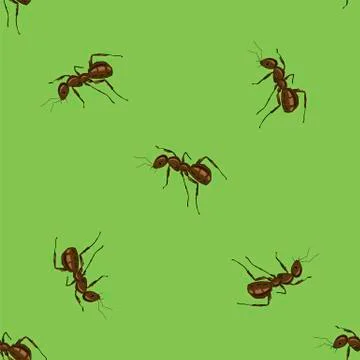 Seamless Animal Pattern. Ant Isolated Stock Illustration
