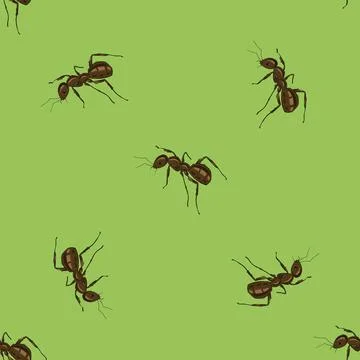 Seamless Animal Pattern. Ant Isolated Seamless Animal Pattern. Ant Isolate... Stock Photos