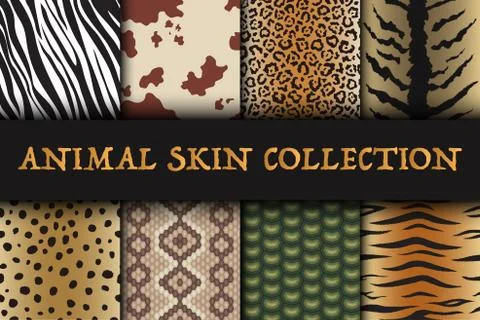 Seamless animal skin patterns set. Safari textile of Giraffe, tiger, zebra Illustrazione stock