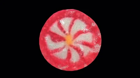 Seamless animation of a candy isolated w... | Stock Video | Pond5