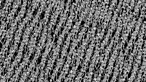 Seamless animation of a dancing skeleton printed drawn style cartoon. Funny Video stock 132887545