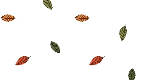 Seamless animation of multicolored falling autumn leaves on white background. Stock Footage 339258511