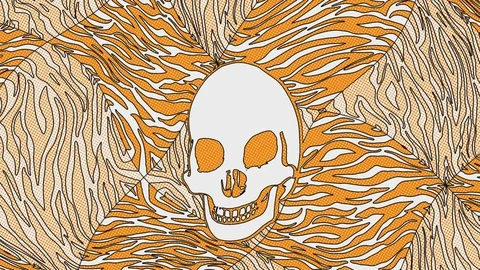 Seamless animation psychedelic skull printed drawn style cartoon. Hypnotic Vidéo 127514768