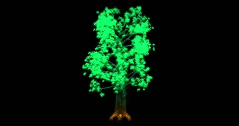 A seamless animation shows the rotation of an abstract model of a tree in th Stock Footage 328652437